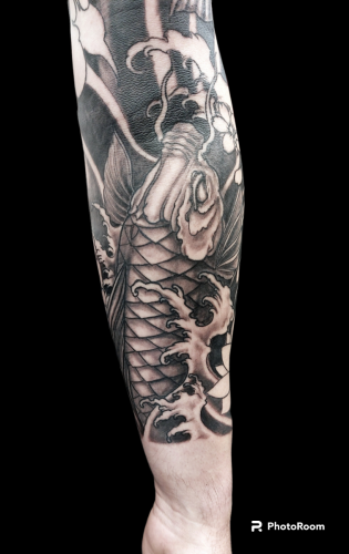 Carp japanese black and grey